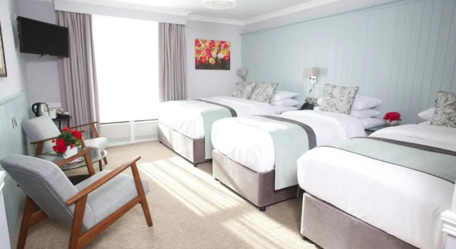 Семейный номер Standard Hayes Hotel