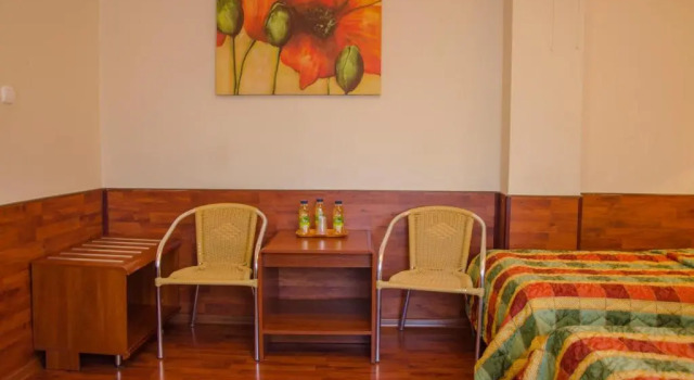 Трёхместный номер Standard Hotel Skaut
