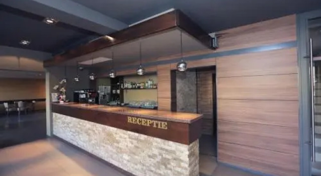 Vila Topaz, Prenota Hotel Baile Felix Bihor