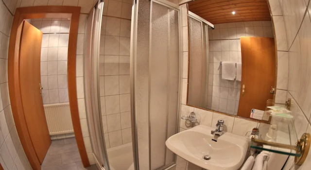 Номер Standard Hotel Garni Romantika