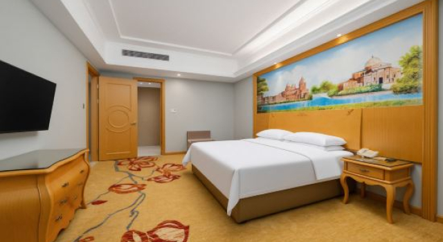 Люкс Vienna Hotel （Huizhou Zhongkai Lilin North Station Store）