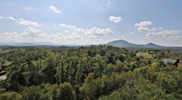 Serenity Mountain Pool 9 Br cabin by RedAwning