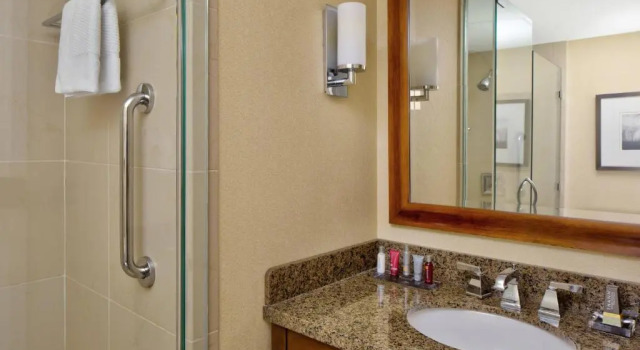 Номер Standard с видом на сад Wyndham Atlanta Buckhead Hotel & Conference Center