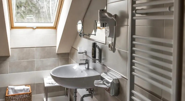 Двухместный номер Standard Hotel Gino Park Palace - Kaštieľ Orlové