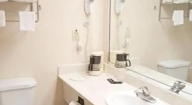 Одноместный номер Standard Red Carpet Inn & Suites