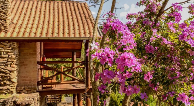 Люкс Chalés Araucária e Manacá