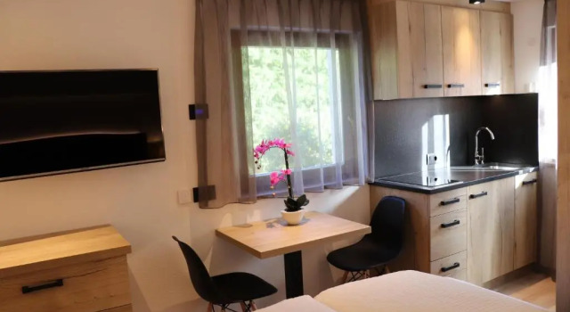 Номер Standard Ciasa Cir Apartments