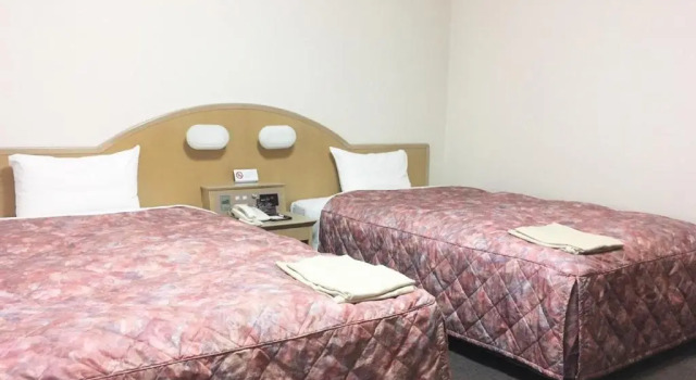 Двухместный номер Deluxe Oustat International Hotel Tajimi