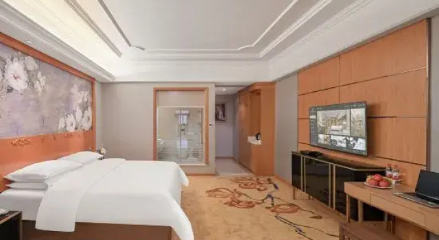 Люкс Executive Vienna International Hotel (Hezhou Zhaoping Government Affairs Center)