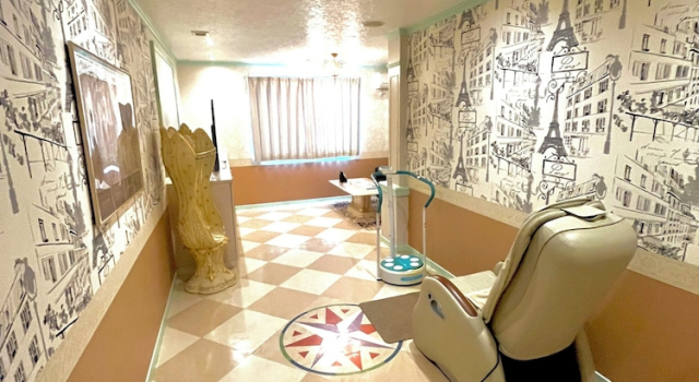 Номер Deluxe Hotel Annoie