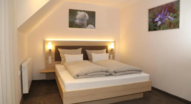 Двухместный номер Standard Leidringer Gästehaus GmbH