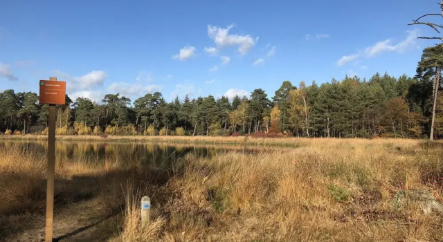 Вилла Villa in Ommen with Private Pond