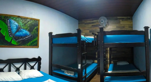 Кровать в общем номере Hostel Tortuguero 7BackPackers