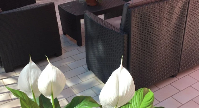Трёхместный номер Standard с балконом Hotel Storione