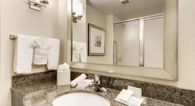 Номер Standard Hilton Garden Inn Waldorf