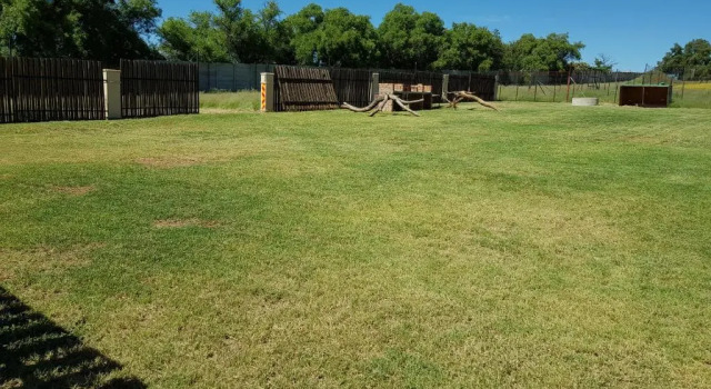 Lejlighed Cheetah Manor #4