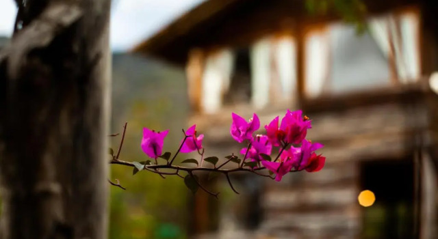 Коттедж "Acogedora Cabaña Ojo de Agua en Villa de Leyva -Vistas Increíbles de las Montañas Iguaque