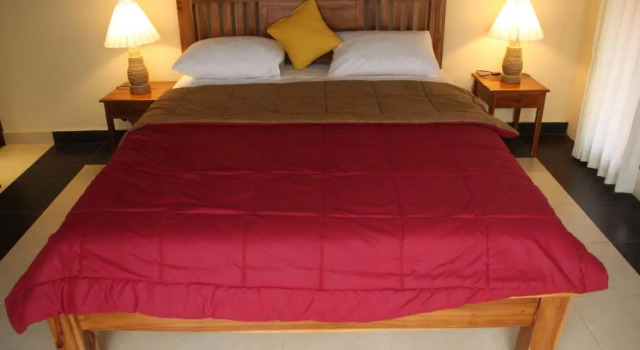Ary House Ubud