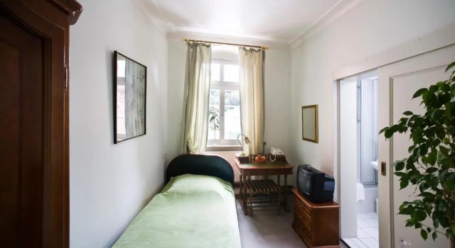 Одноместный номер Standard Hotel Goldener Hecht