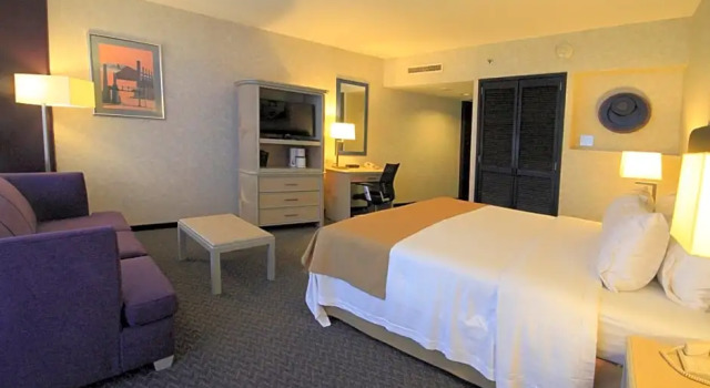 Номер Executive Holiday Inn Monterrey-Parque Fundidora by IHG