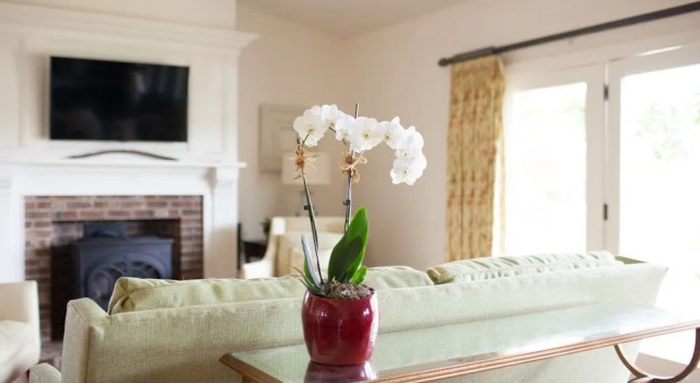 The Farmhouse at Veritas, Prenota Bed & breakfast Hotel a Virginia con parcheggio, Parcheggio