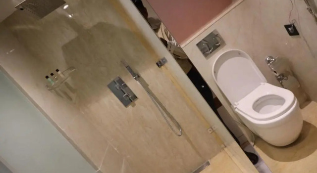 Люкс Regenta Central RS Chennai OMR SIPCOT