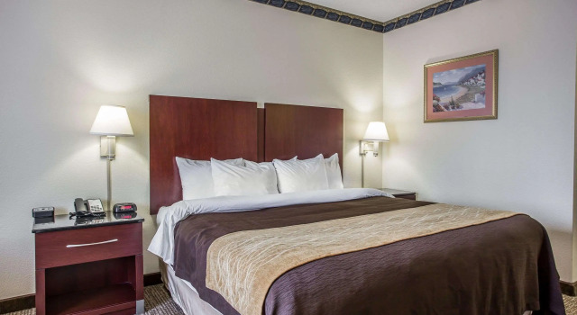 Двухместный номер Standard Comfort Inn & Suites FtJackson Maingate