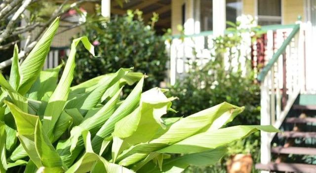 Rosevillehouse Bed & Breakfast, Varaa Hotelli Balmoral Ridge 