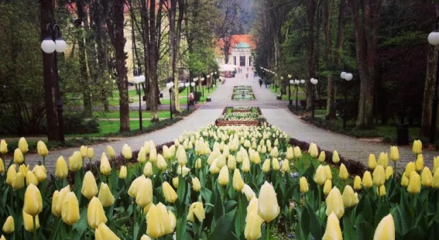 Villa Filmowiec, Забронировать Вилла Виллы Поляница-Здруй, рядом с Polanica Zdrój Spa Theatre, Вилла