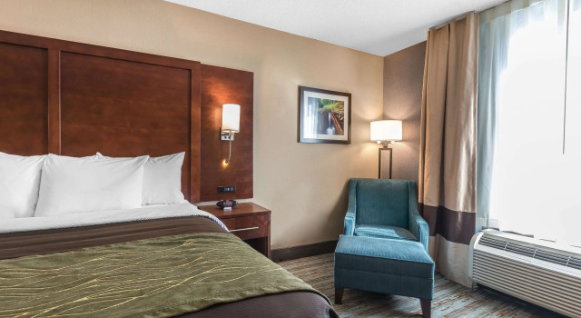 Двухместный номер Standard Comfort Inn Bay City - Riverfront