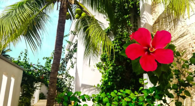 Hotel Rilux Tolu -Casa Danae-, Rezervovat Hotel Wellness hotely v Sucre, SPA