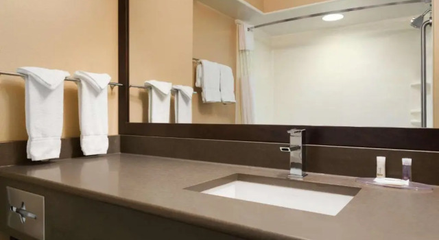 Полулюкс Deluxe Days Inn & Suites by Wyndham Brandon