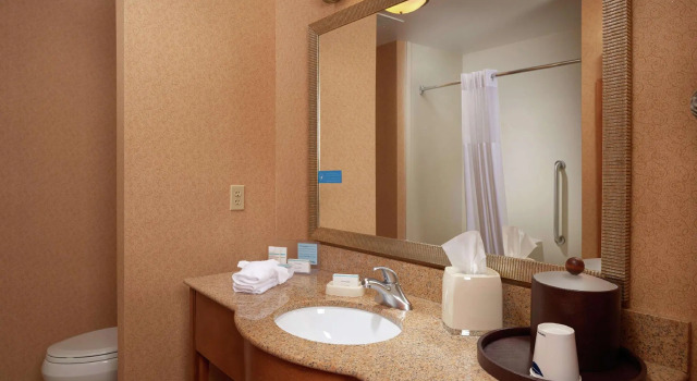 Четырёхместный номер Standard Hampton Inn & Suites Canton