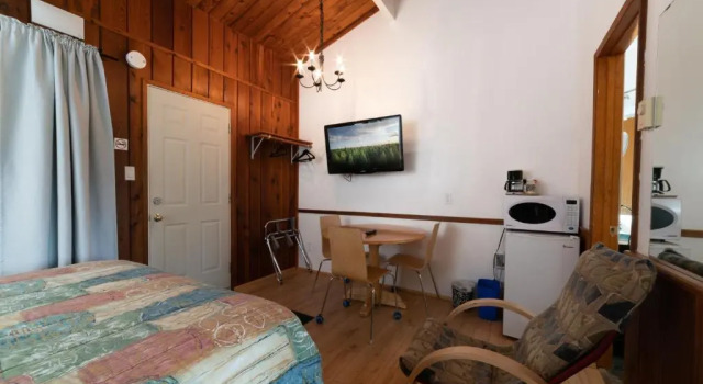 Четырёхместный номер Standard Cedar Motel