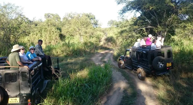 Isanka Lion Lodge