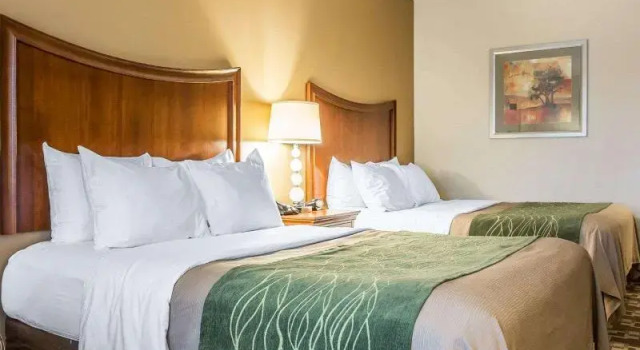 Четырёхместный номер Standard Comfort Inn & Suites Orangeburg