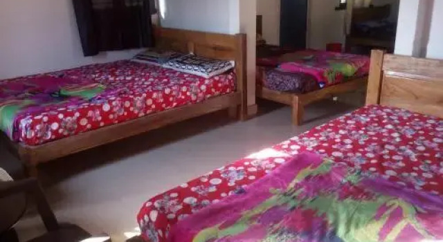 Nenapu Homestay, Rezervovat Hotel Chikkamagaluru Bangalore