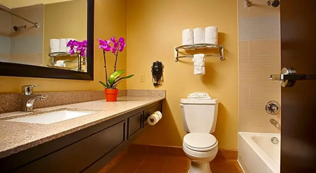Шестиместный люкс Clarion Pointe Addison - Dallas North