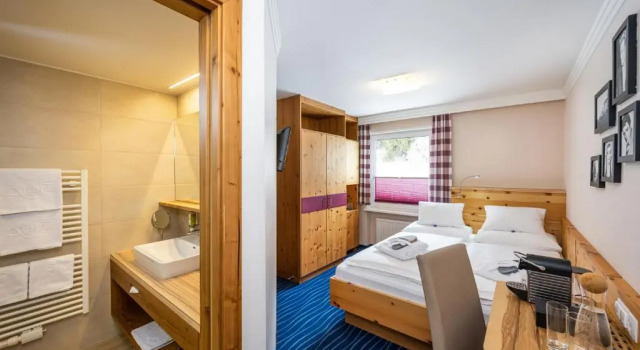 Двухместный номер Standard Hotel Alpina