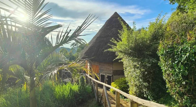 Четырёхместный номер Standard с балконом Agandi Uganda Eco-lodges