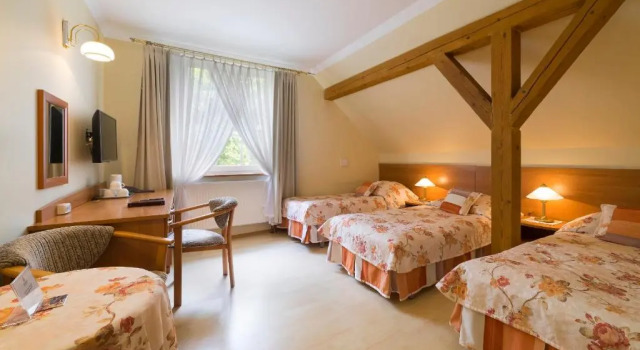 Трёхместный номер Standard Lech Resort & Spa