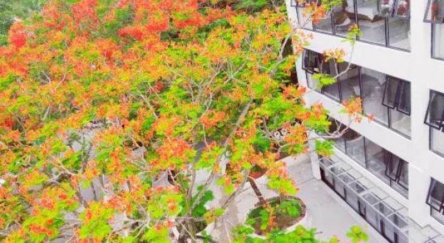 Manyun Duan One Mu Sweet Stay Hotel