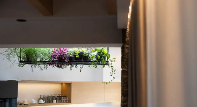 Полулюкс с балконом Opal Executive Suites