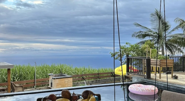 Dodo House
