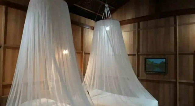 Двухместное бунгало Coconut Homestay Mỏ Cày Nam Bến Tre
