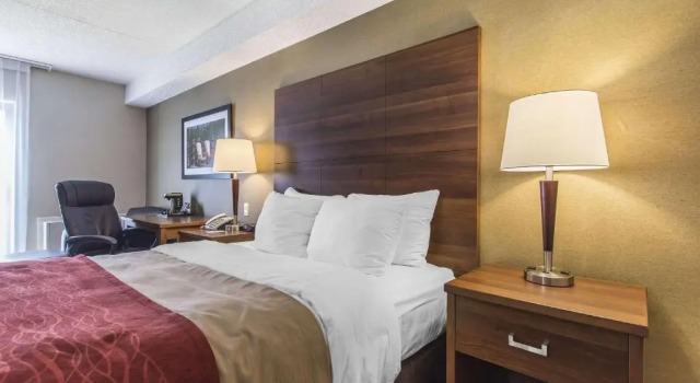 Номер Standard Comfort Inn