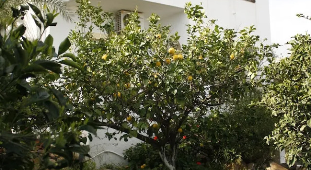 Pella in Istron, Забронировать Апартаменты/квартира Отели East Crete с парковкой, Парковка