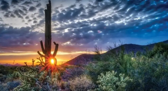 Апартаменты Scottsdale's premium short term getaway, Fully furnished 1 bedroom homes, FREE Golf, cable, utilities, Wi-Fi, parking, pool, and bike trails- Unit 112 by RedAwning