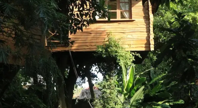 Коттедж Superior Roots Tree House Boutique Hotel Uluwatu