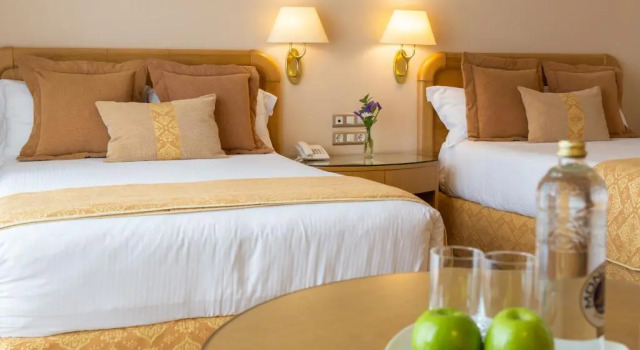 Одноместный номер Standard Gran Hotel Los Abetos